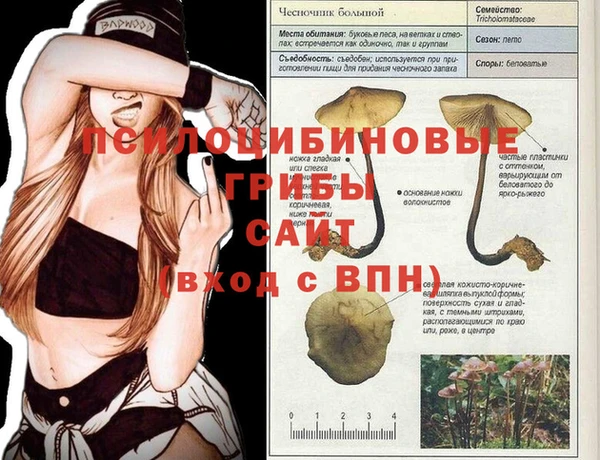 первитин Нея