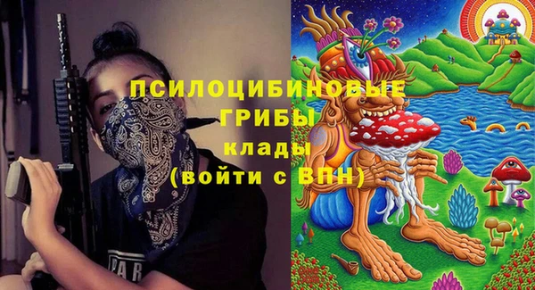 шишки Каменка