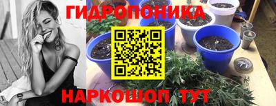 круглые Бийск