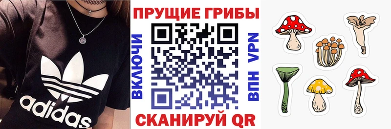 что такое   mega ТОР  Галлюциногенные грибы Psilocybine cubensis  Кыштым 