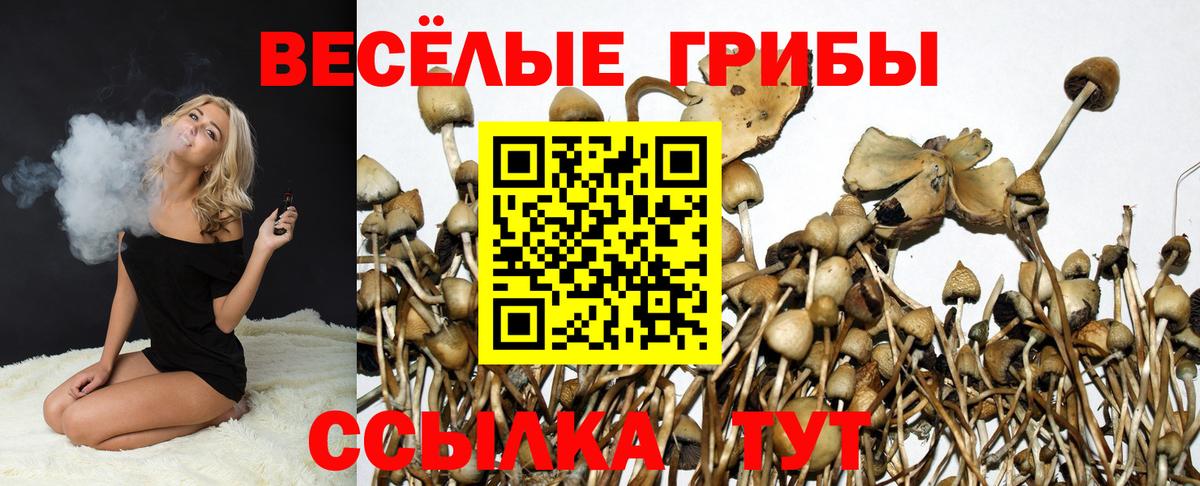 Галлюциногенные грибы мицелий  Кыштым  Псилоцибиновые грибы Cubensis 